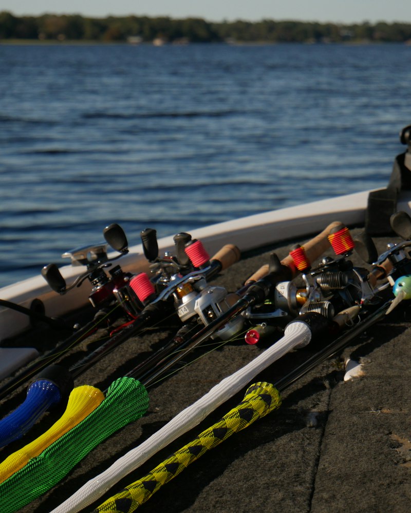 Varias cañas y carretes de pesca colocados sobre la cubierta de una embarcación